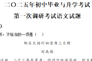 2025年江苏省淮安市涟水县部分校中考第一次检测语文试题（含解析）