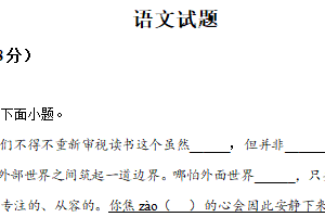 2025年江苏省连云港市中考语文真题（含解析）