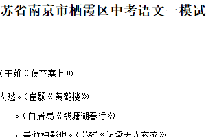2025年江苏省南京市栖霞区中考一模语文试题（含解析）