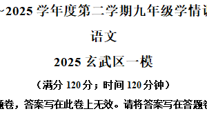 2025年江苏省南京市玄武区中考一模语文试题（含解析）