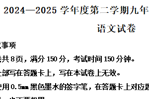 2025年江苏省宿迁市宿城区新区教学共同体中考一模语文试题（含解析）