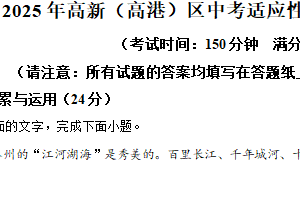2025年江苏省泰州市高港区中考二模语文试题（含解析）