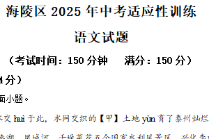 2025年江苏省泰州市海陵区中考一模语文试题（含解析）