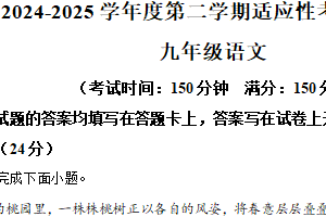 2025年江苏省泰州市靖江市中考二模语文试题（含解析）