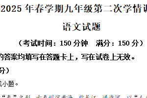 2025年江苏省泰州市泰兴市中考二模语文试题（含解析）