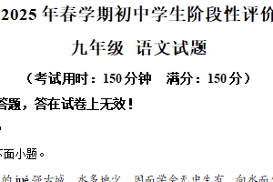 2025年江苏省泰州市兴化市中考一模语文试题（含解析）