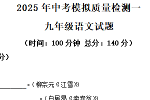 2025年江苏省徐州市沛县第五中学中考一模语文试题（含解析）