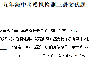 2025年江苏省徐州市沛县汉源学区中考三模语文试题（含解析）