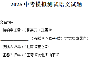 2025年江苏省徐州市沛县五中集团联盟学区中考一模语文试题（含解析）