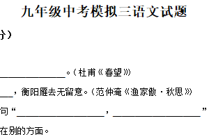 2025年江苏省徐州市沛县五中联盟学区中考模拟语文试题 (1)（含解析）