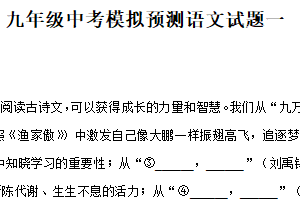 2025年江苏省徐州市沛县五中联盟学区中考模拟语文试题（含解析）