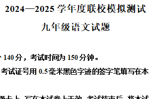 2025年江苏省徐州市沛县中考二模语文试题（含解析）
