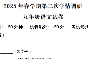 2025年江苏省盐城市大丰区中考二模语文试题（含解析）
