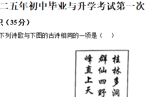 2025年江苏省盐城市大丰区中考一模语文试题1（含解析）