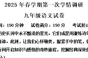 2025年江苏省盐城市大丰区中考一模语文试题2（含解析）