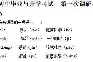 2025年江苏省盐城市射阳县中考一模语文试题（含解析）