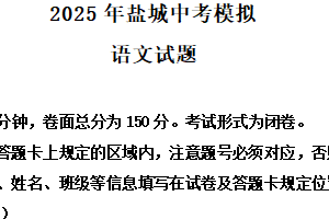 2025年江苏省盐城市亭湖区中考三模语文试题（含解析）