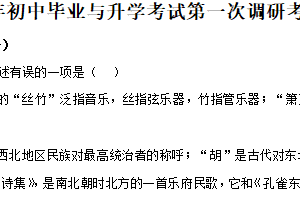 2025年江苏省盐城市亭湖区中考一模语文试题（含解析）