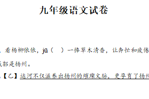 2025年江苏省扬州市仪征市实验中学教育集团中考三模语文试题（含解析）