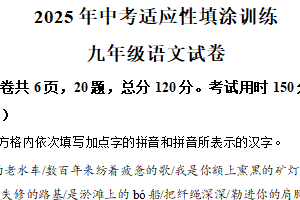 2025年江苏省镇江市丹徒区中考一模语文试题（含解析）