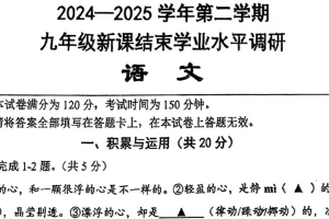 江苏省常州市外国语学校2024-2025学年九年级下学期学业水平调研语文试卷（含答案）