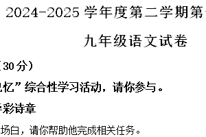 江苏省连云港市灌云县西片2024-2025学年九年级下学期3月月考语文试题（含解析）