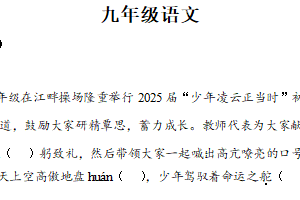 江苏省南京师范大学附属中学树人学校2024-2025学年九年级下学期3月月考语文试题（含解析）