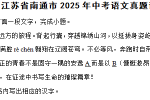 江苏省南通市2025年中考语文真题试卷（含解析）