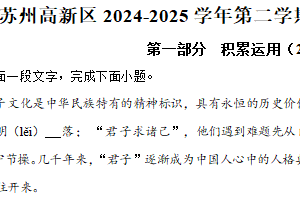 江苏省苏州高新区2024-2025学年九年级下学期3月月考语文试题（含解析）
