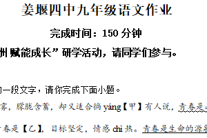 江苏省泰州市姜堰第四中学2024-2025学年九年级下学期3月月考语文试题（含解析）