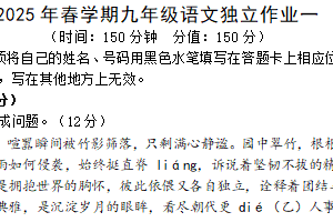 江苏省泰州市姜堰实验初级中学2024-2025学年九年级下学期3月月考语文试题（含答案）