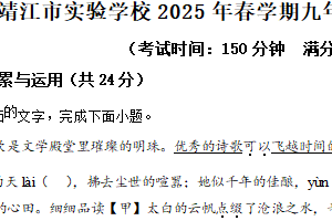 江苏省泰州市靖江市实验学校2024-2025学年九年级下学期第一次月考语文试题（含解析）