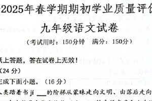 江苏省泰州市兴化市2024-2025学年九年级下学期期初学业质量评价语文试卷（含答案）