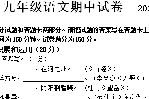 江苏省无锡市惠山十校2024-2025学年九年级下学期期中联考语文试卷（含答案）