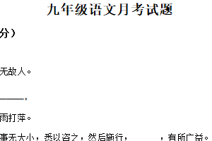 江苏省徐州市沛县第五中学集团联盟2024-2025学年九年级下学期3月月考语文试题（含解析）