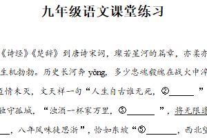 江苏省盐城市大丰区实验初级中学2024-2025学年九年级下学期3月月考语文试题（含解析）
