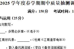江苏省盐城市东台市第五教育联盟2024-2025学年九年级下学期期中语文试题（含解析）