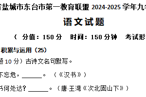 江苏省盐城市东台市第一教育联盟2024-2025学年九年级下学期5月月考语文试题（含解析）