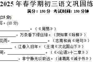 江苏省盐城市射阳县实验初级中学2024-2025学年九年级下学期3月月考语文试题(普通班）（含答案）