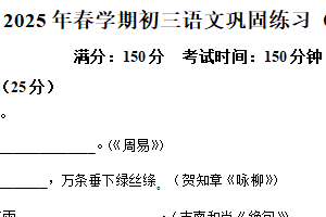 江苏省盐城市射阳县实验初级中学2024-2025学年九年级下学期3月月考语文试题(强化班）（含解析）