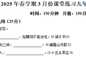 江苏省盐城市盐都区第一共同体2024-2025学年九年级下学期3月月考语文试题（含解析）