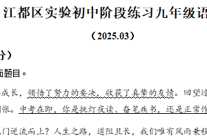 江苏省扬州市江都区实验初级中学2024-2025学年九年级下学期第一次月考语文试题（含解析）