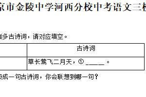 2025年江苏省南京市金陵河西学校中考三模语文试卷（含解析）