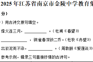 2025年江苏省南京市金陵中学教育集团中考零模语文试卷（含解析）
