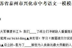 2025年江苏省泰州市兴化市中考语文一模模拟试卷（含解析）