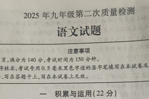 2025年江苏省徐州市新沂市中考二模语文试卷（无答案）