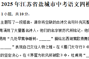 2025年江苏省盐城市中考四模语文试卷（含解析）