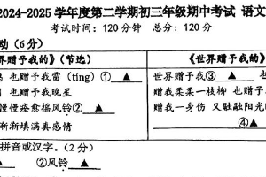 江苏省南京市科利华中学2024-2025学年九年级下学期期中考试语文试题（含答案）
