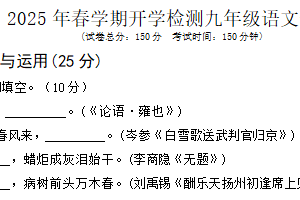江苏省盐城市盐都区校联考2024-2025学年九年级下学期开学语文试题（含答案）