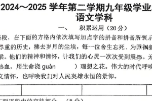 江苏省镇江市实验学校2024-2025学年九年级下学期第一次月考语文试卷（无答案）